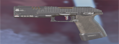 screenshot of the P2020 Pistol